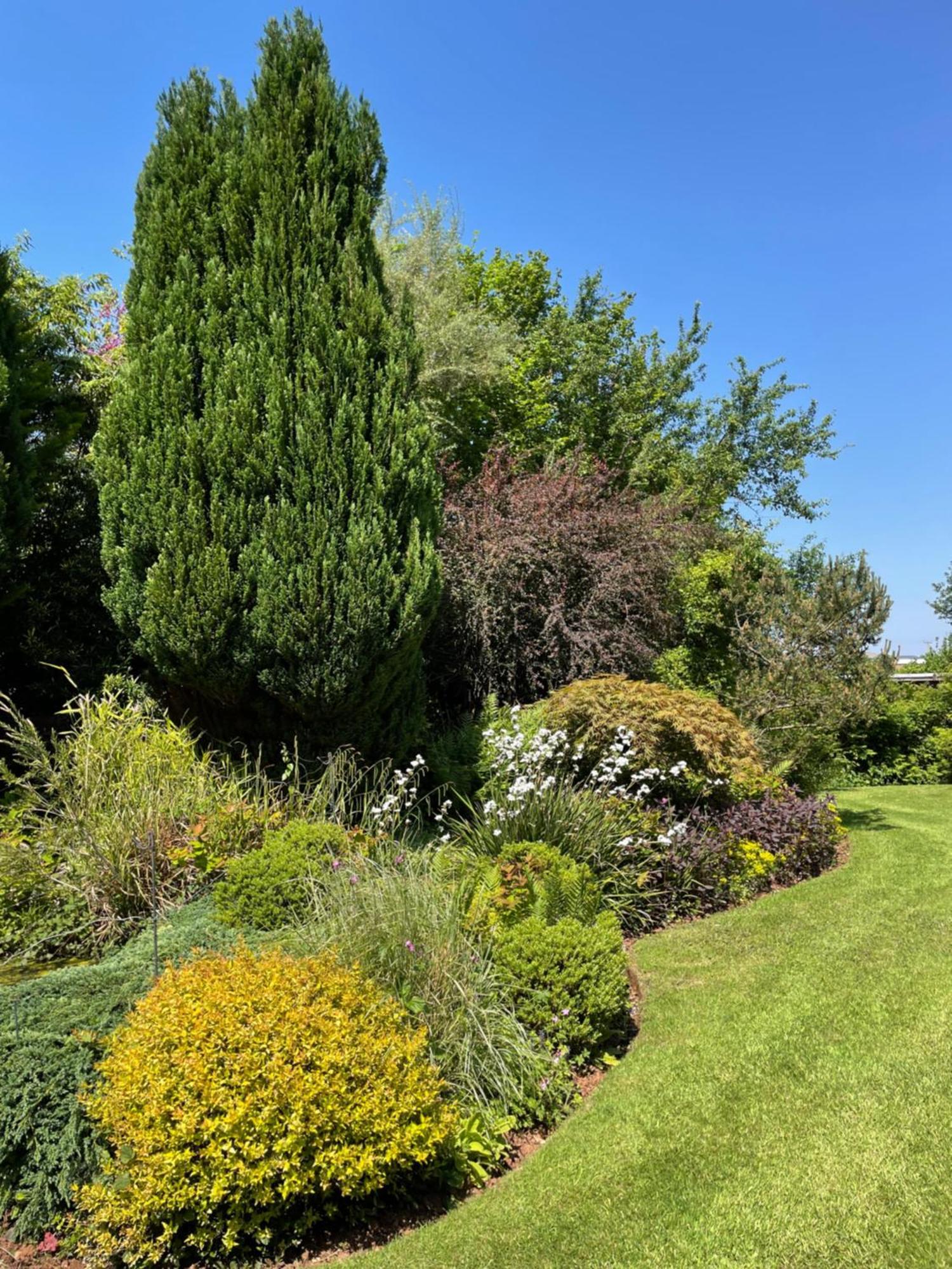 Villa Leylands Annexe East Harptree Exterior foto